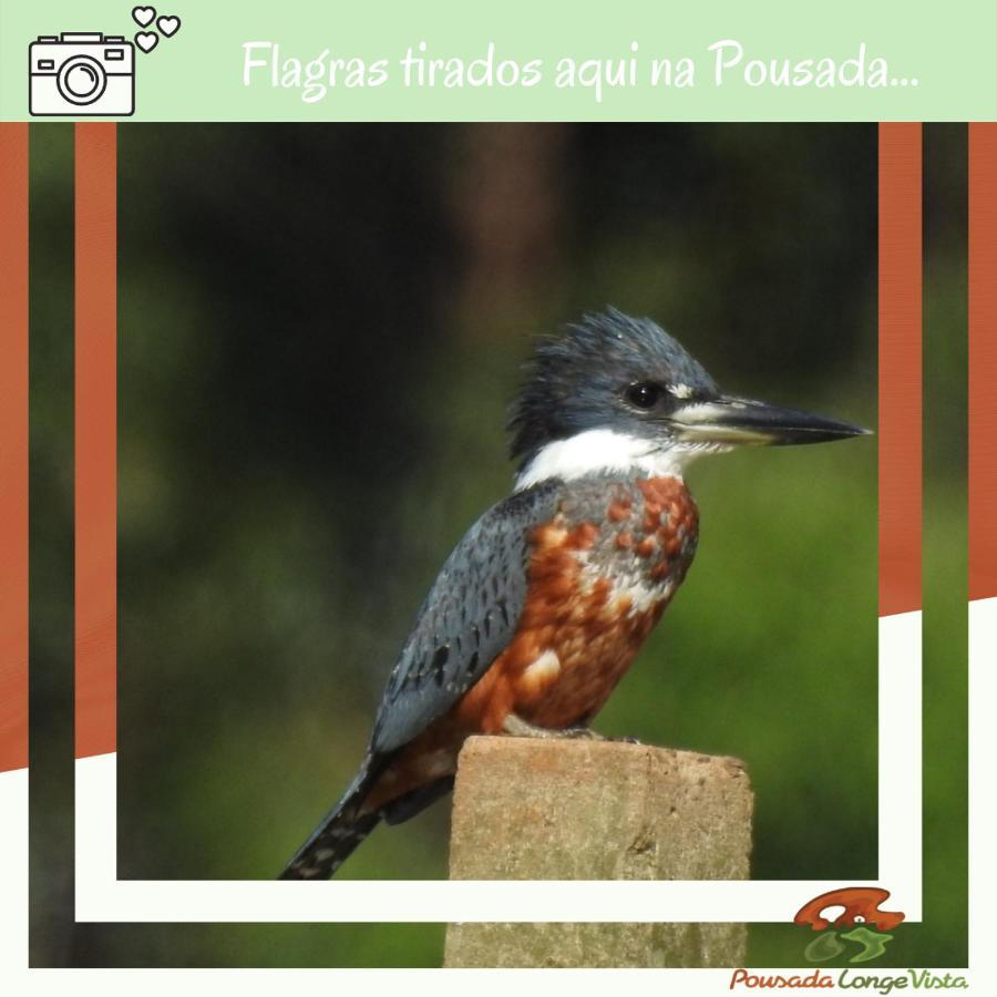 Pousada Longe Vista Tibagi Exterior photo